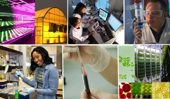 Applied Biosciences GIDP