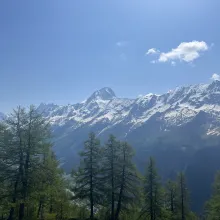 Loetschental Treeline